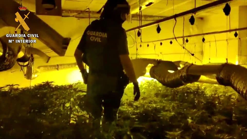 La guardia civil interviene cerca de 2.000 plantas de marihuana y desmantela un peligroso laboratorio BHO en granada