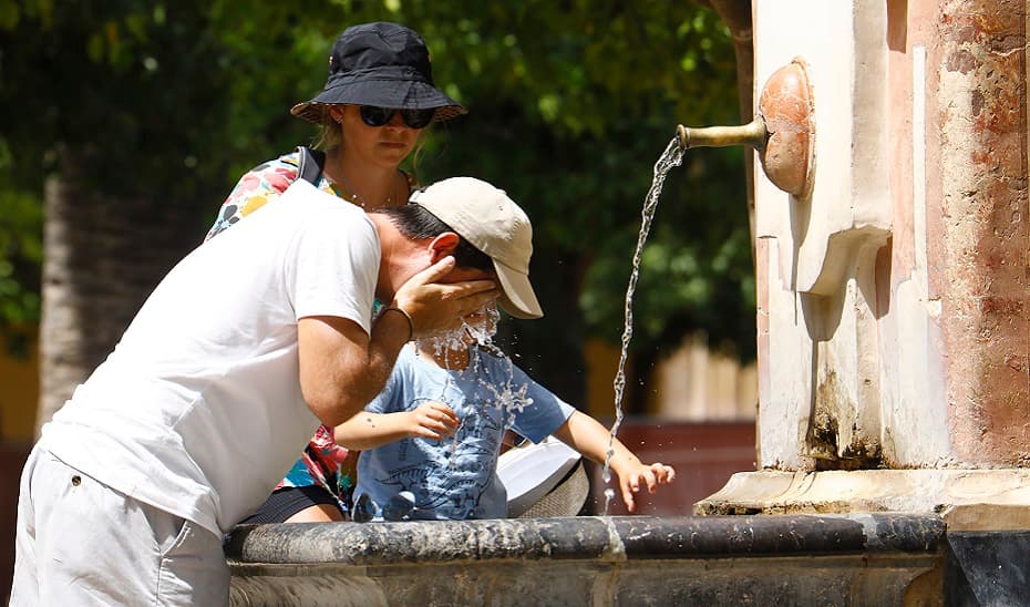 La EMA insiste en mantener una buena hidratación y una dieta ligera ante el calor