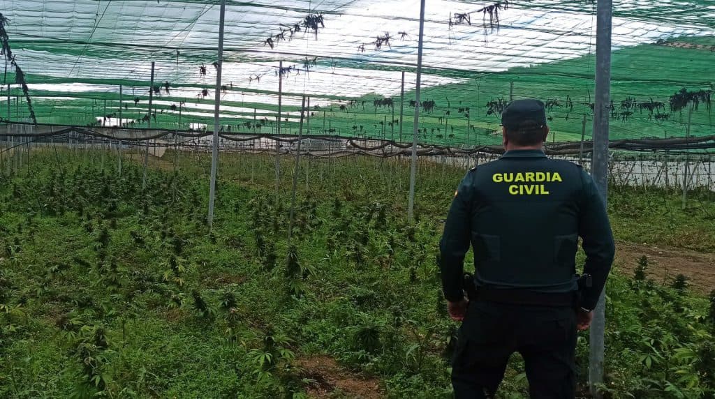 La Guardia Civil desmantela en Granada un punto de distribución de marihuana vinculado a envíos internacionales