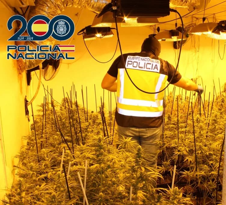 La Policía Nacional realiza en junio 12 operaciones en Granada, Motril y Baza que se saldan con 30 detenciones y la aprehensión de cerca de 2.800 plantas de marihuana y más de 5 kilos de hachís