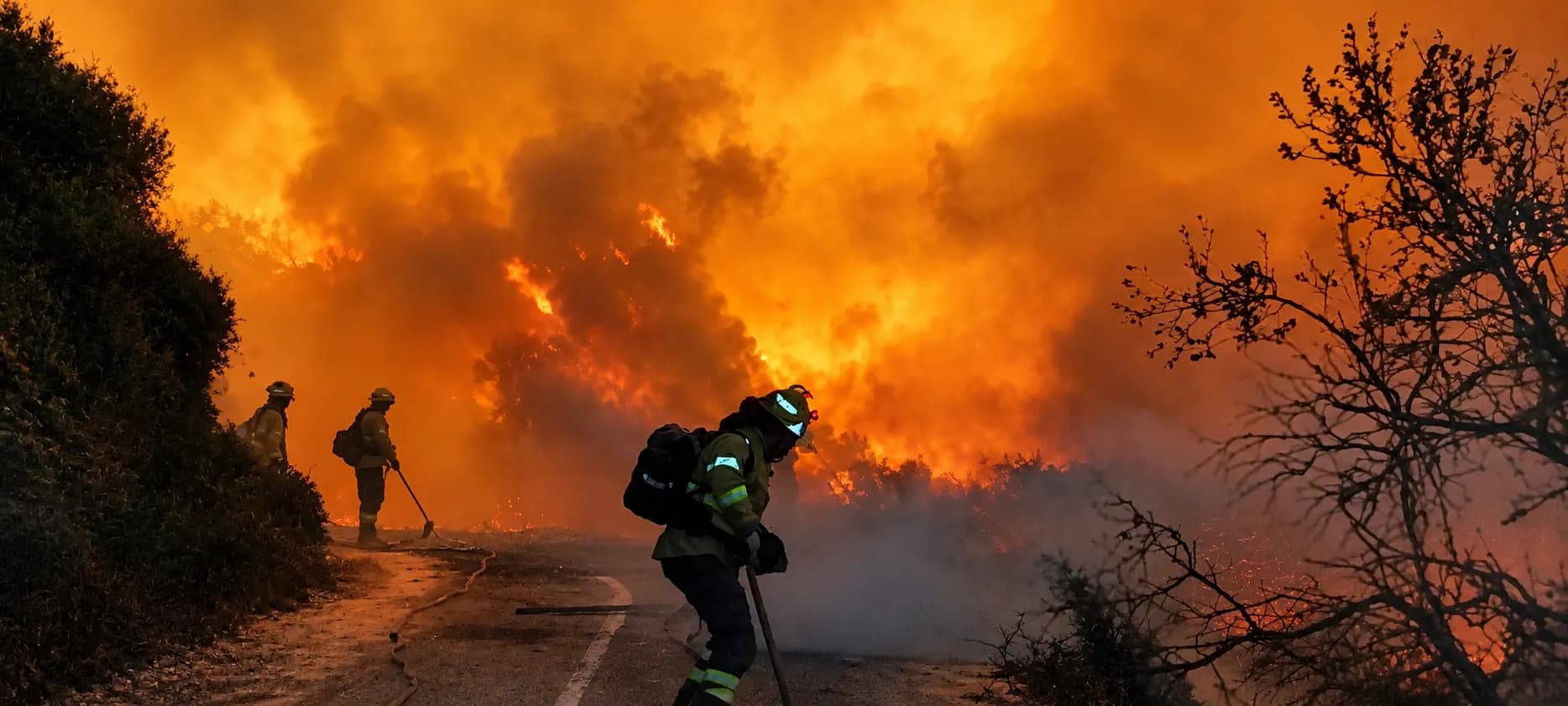 El 73,9% de las solicitudes de ayuda a los agricultores de Almuñécar y La Herradura afectados por el incendio de Peña Escrita obtiene una propuesta favorable