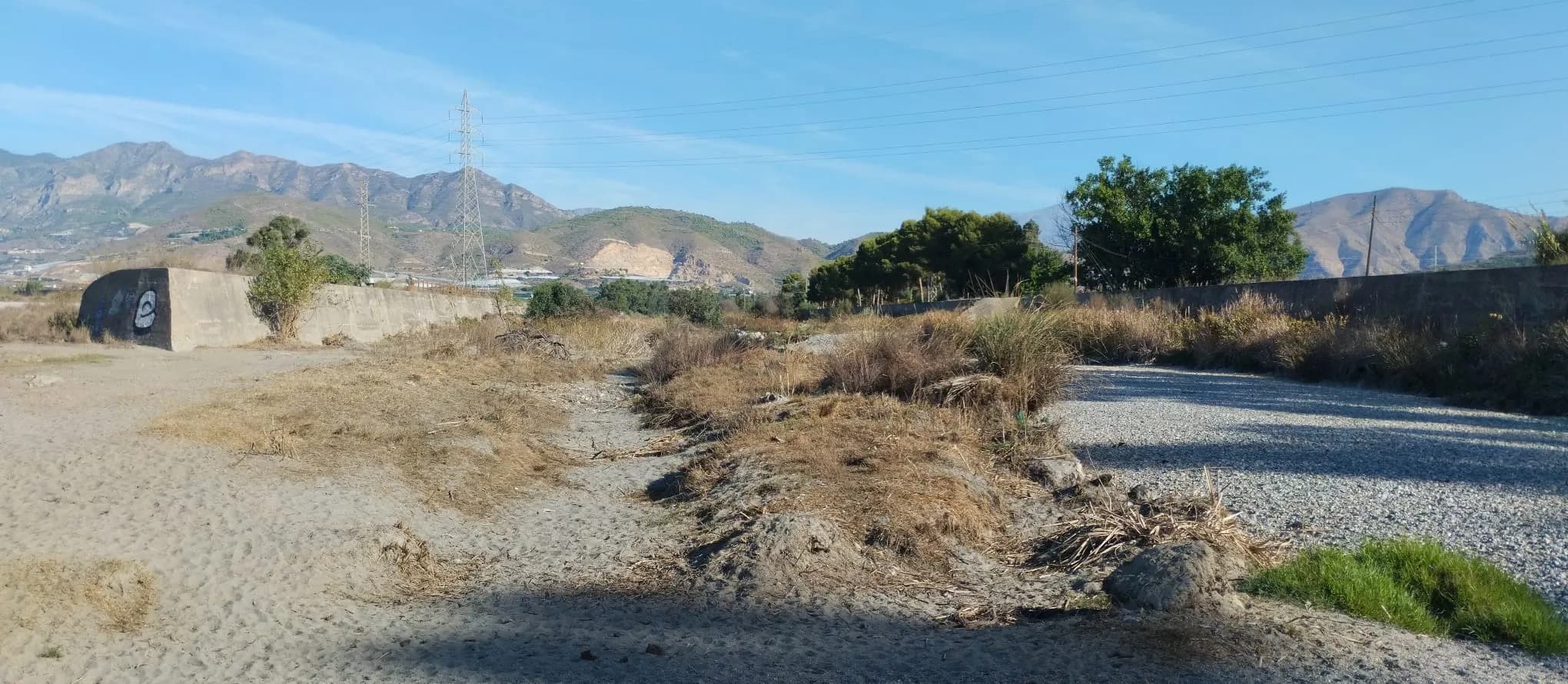 Por Andalucía llevará al Parlamento andaluz la mortandad de anguilas y la desecación de tramos del río Guadalfeo en Salobreña