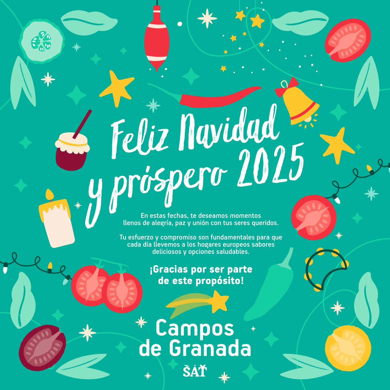 BANNER CAMPOS DE GRANADA NAVIDAD 2024